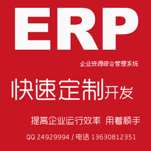 ERP 快速定制开发